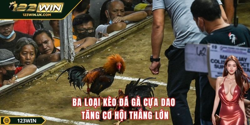 Ba loại kèo đá gà cựa dao – Tăng cơ hội thắng lớn