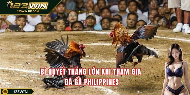 Bí quyết thắng lớn khi tham gia đá gà Philippines