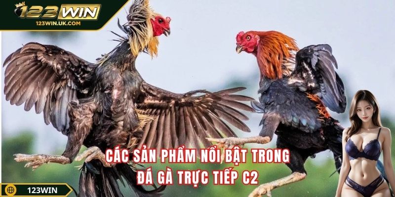 Các sản phẩm nổi bật trong đá gà trực tiếp C2