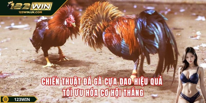 Chiến thuật đá gà cựa dao hiệu quả – Tối ưu hóa cơ hội thắng