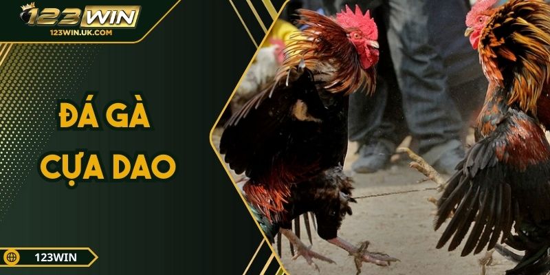 Đá Gà Cựa Dao 123win – Trải Nghiệm Cá Cược Đỉnh Cao 2025
