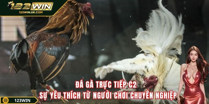 Đá gà trực tiếp C2 -  Sự yêu thích từ người chơi chuyên nghiệp