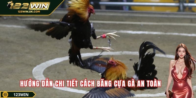 Hướng dẫn chi tiết cách băng cựa gà an toàn