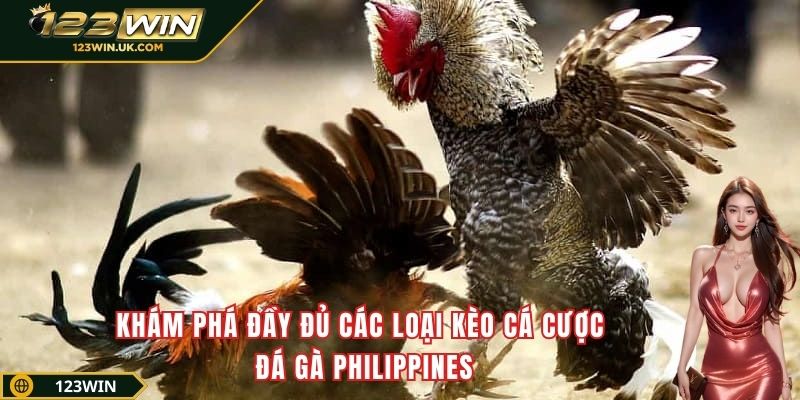 Khám phá đầy đủ các loại kèo cá cược đá gà Philippines