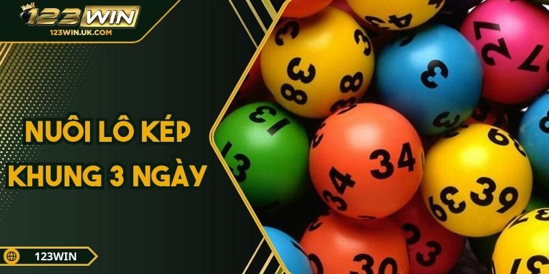 Nuôi Lô Kép Khung 3 Ngày – Công Thức Đánh Lô Chuẩn Từng Ngày