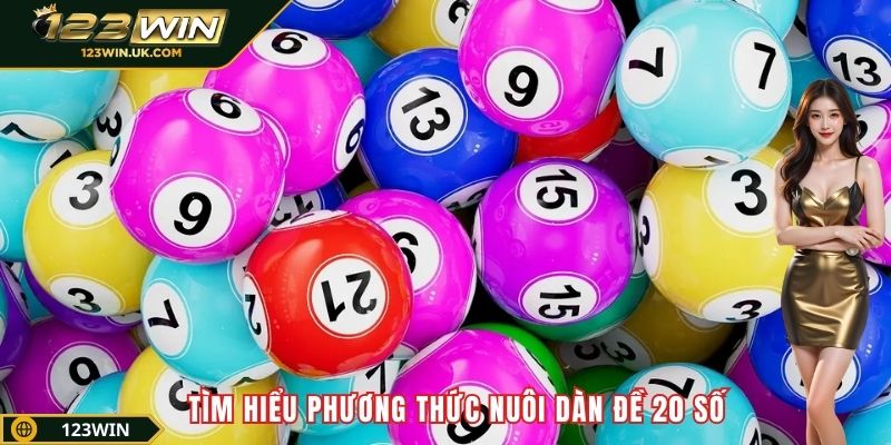 Tìm hiểu phương thức nuôi dàn đề 20 số